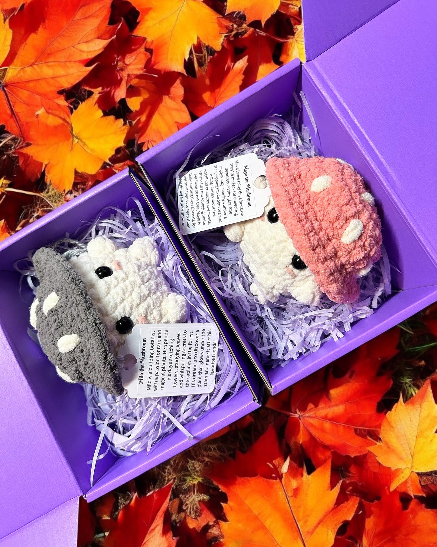 Colorful Mushroom Friend | Handmade Crochet Plushie | Handmade Christmas Gift