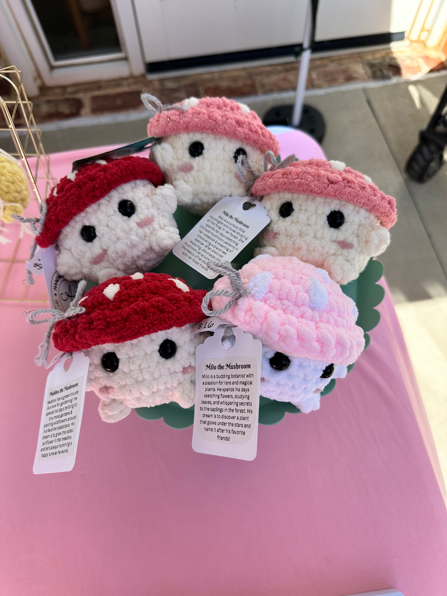 Colorful Mushroom Friend | Handmade Crochet Plushie | Handmade Christmas Gift